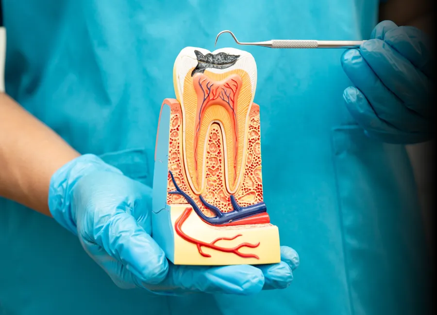 Pediatric Dental Sealants at [pracitice_name] in Santa Fe, NM